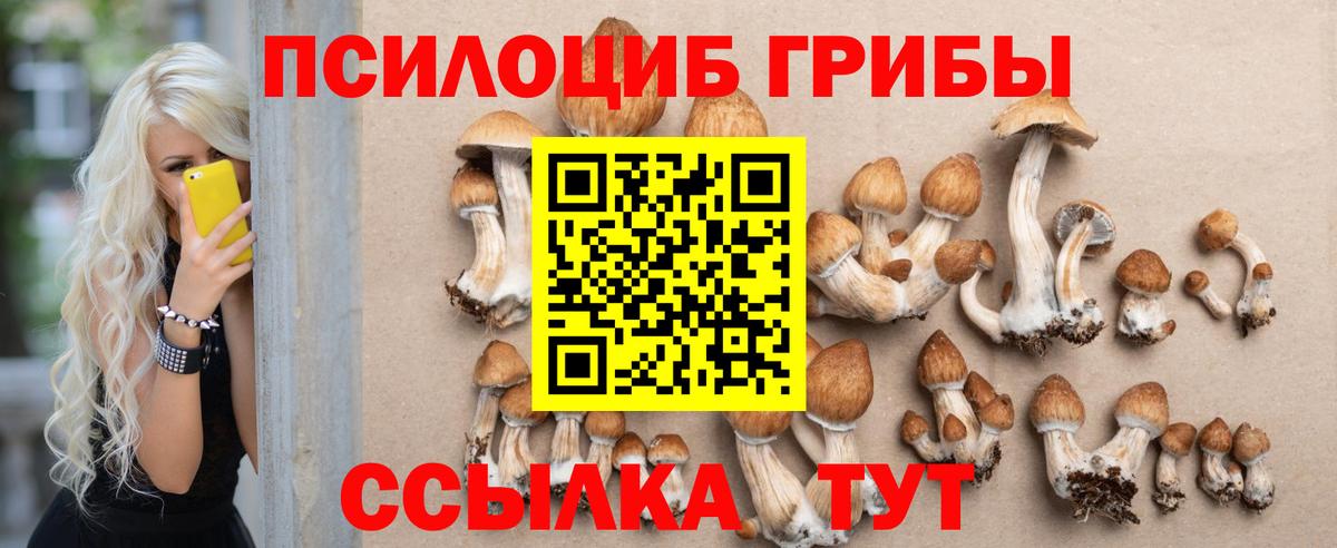 Кинель  Псилоцибиновые грибы Magic Shrooms  Вход с VPN 